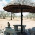 S COMME SERENGETI