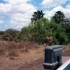 S COMME SERENGETI