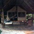 A COMME AMBOSELI