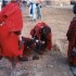 T COMME TRIBU MASSAI
