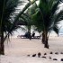 M COMME MOMBASSA