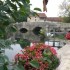 EGLISES EN CHAMPAGNE...