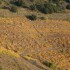 ESCAPADE SUR LA COTE VERMEILLE