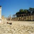J COMME JERASH - JORDANIE