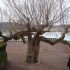 LABOURD EN PAYS BASQUE...