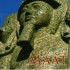 MAAT