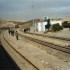 T COMME TOZEUR - TUNISIE