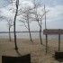 LA COTE LANDAISE...