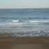 LA COTE LANDAISE...
