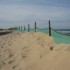 LA COTE LANDAISE...
