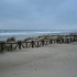 LA COTE LANDAISE...