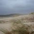 LA COTE LANDAISE...