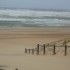 LA COTE LANDAISE...
