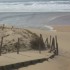 LA COTE LANDAISE...