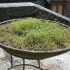LA CHALEUR DE LA TERRE...
