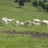 LA VALLEE D'AURE...