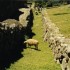 M COMME MACHU PICCHU - PEROU