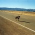 S COMME SUCRE - BOLIVIE