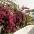 H COMME HERSONISOS - CRETE