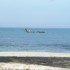 S COMME SOMONE, LA COTE - SENE