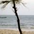 S COMME SOMONE, LA COTE - SENE
