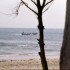 S COMME SOMONE, LA COTE - SENE