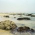 S COMME SOMONE - LA PECHE AU S