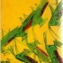 LE POISSON SCORPION