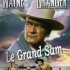 LE GRAND SAM