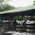 T COMME TORTUGUERO - COSTA RIC