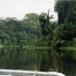 T COMME TORTUGUERO - COSTA RIC