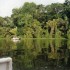 T COMME TORTUGUERO - COSTA RIC