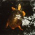 T COMME TORTUGUERO - COSTA RIC