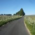 L'AUBRAC TERRE DE BASALTE...