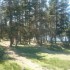 L'AUBRAC TERRE DE BASALTE...