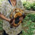 C COMME CATARINA - NICARAGUA