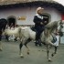 L COMME LEON - NICARAGUA