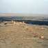P COMME PALMYRE - SYRIE