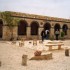 P COMME PALMYRE - SYRIE