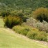C COMME CAP TOWN - AFRIQUE DU 
