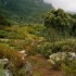 C COMME CAP TOWN - AFRIQUE DU 