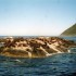 H COMME HOUT BAY - AFRIQUE DU 