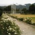 F COMME FRANSCHHOEK - AFRIQUE 