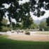 F COMME FRANSCHHOEK - AFRIQUE 