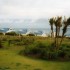 K COMME KNYSNA - AFRIQUE DU SU