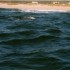 P COMME PLETTENBERG BAY - AFRI