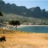 T COMME TSITSIKAMMA - AFRIQUE 