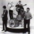 THE ANIMALS