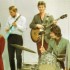 THE ANIMALS