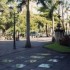 P COMME PORT ELISABETH - AFRIQ